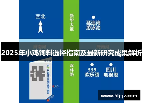 2025年小鸡饲料选择指南及最新研究成果解析